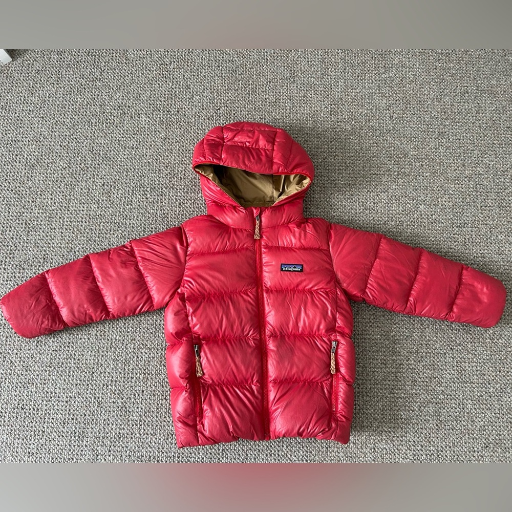 Patagonia Hi Loft Down Coat 5T